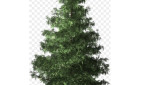 Rozsvěcení vánočního stromu v obci